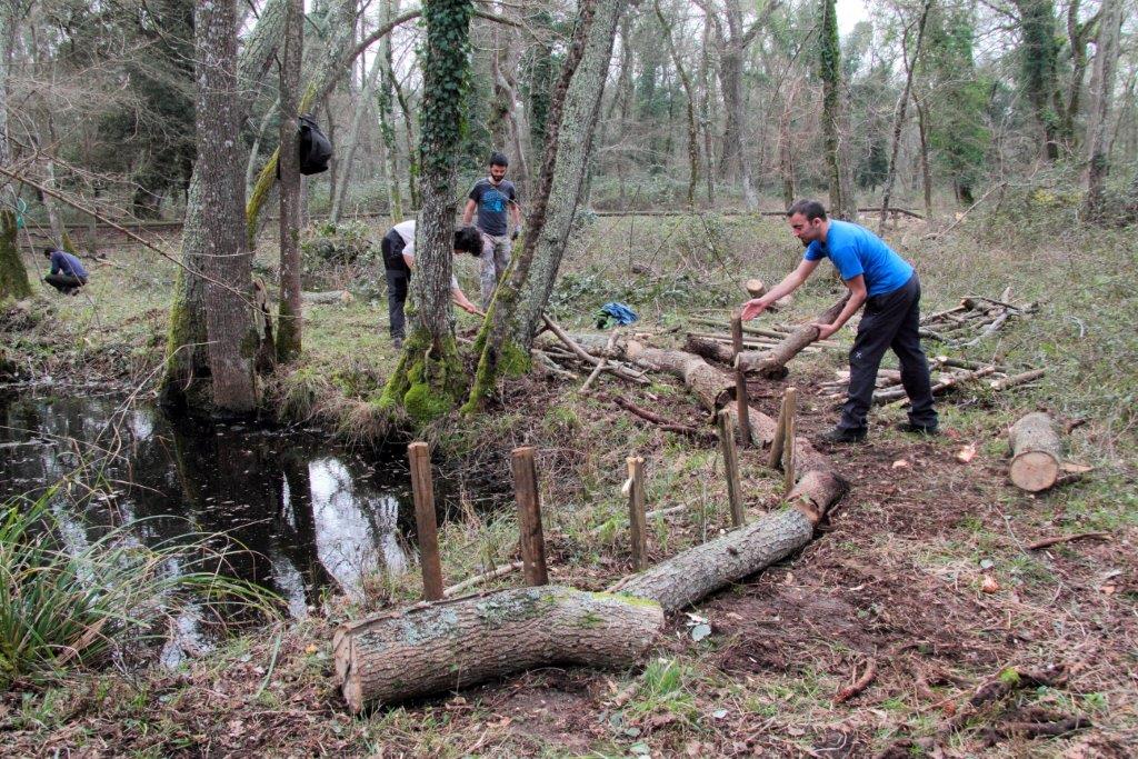 VOLONTANFIBI 2014: Parco Regionale MSRM